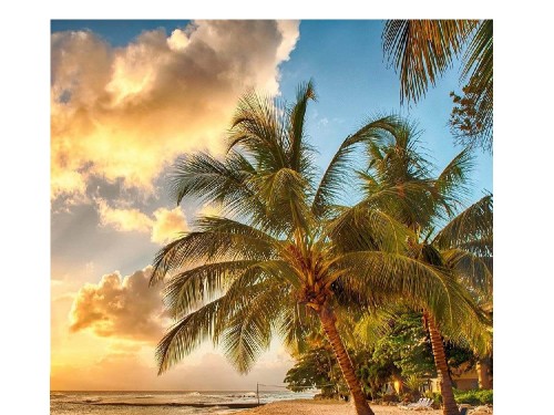  - Основні контакти 04