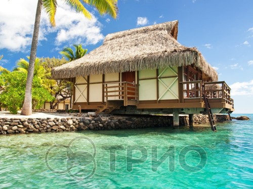 Настенный пленочный обогреватель (картина) БУНГАЛО Трио Украина - Основные контакты 05