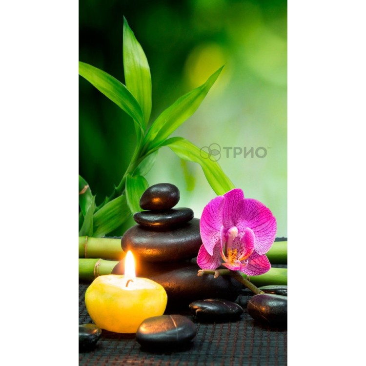 Настінний плівковий нагрівач (картина) ГАРМОНІЯ Тріо Україна - Основні контакти 01 