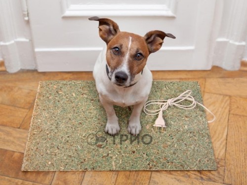 Підставка-обігрівач з QSB 80 Вт ТРІО (50х31 см, t = 60 C) - Основні контакти 03