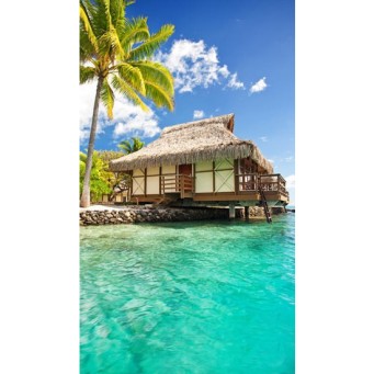 Настенный пленочный обогреватель (картина) БУНГАЛО Трио Украина - Основные контакты 